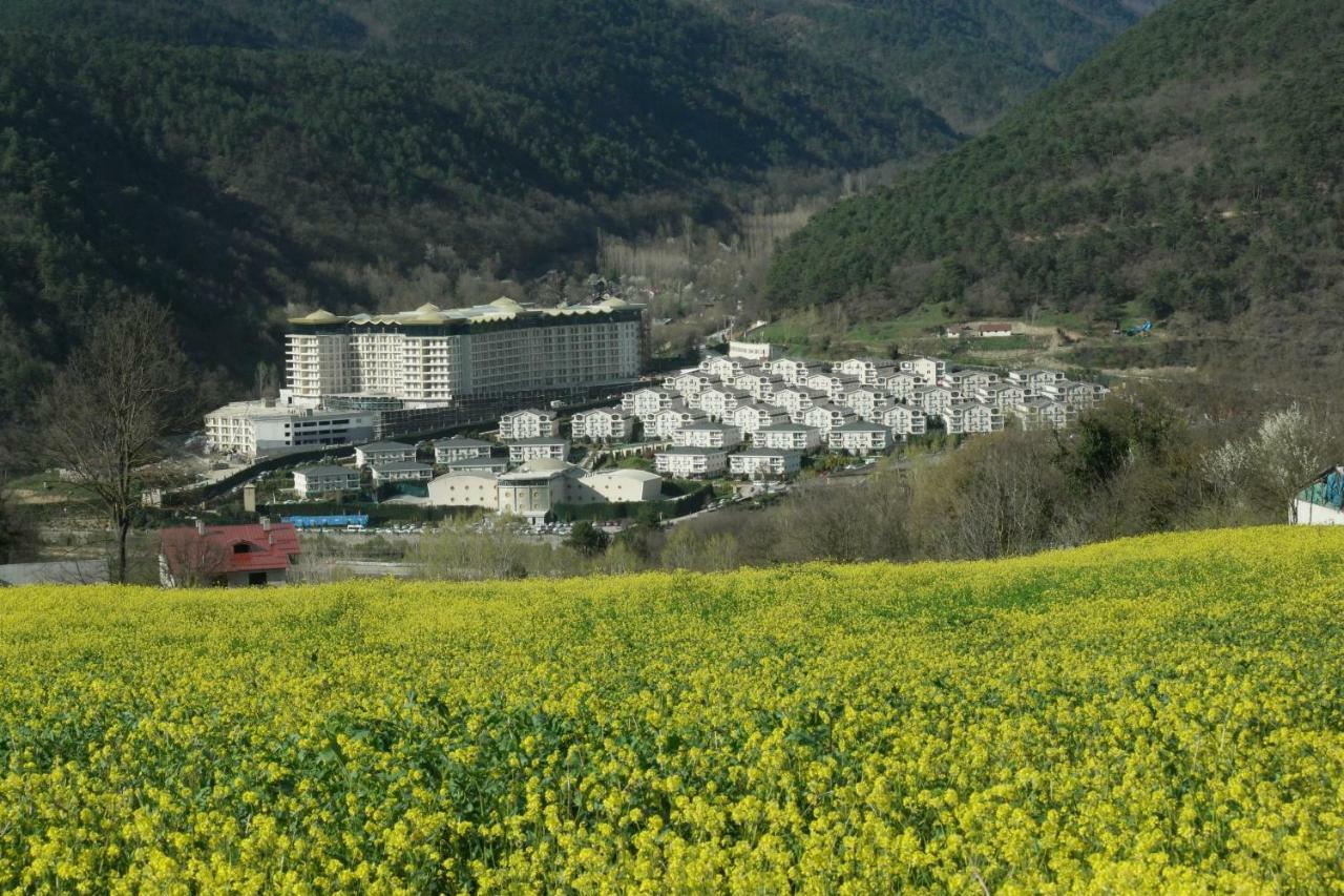 Sarot Thermal Vadi Tatil Koyu - Halal Hotel Bolu Exterior foto